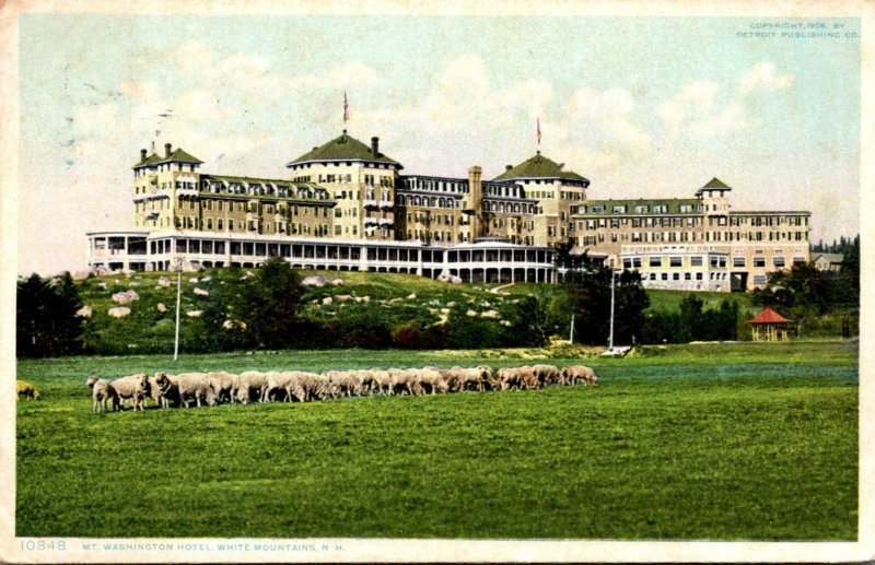 New Hampshire White Mountains Mt Washington Hotel 1909 Detroit Publishing 1909