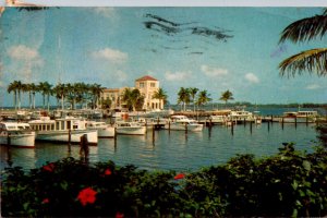 Florida Bradenton Memorial Pier and Yacht Basin 1964