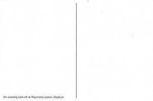 Seasonal Greetings, Raymond James Stadium 