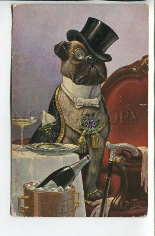 462193 Arthur THIELE Bulldog DRESSED Dog TOP HAT Gentleman Vintage TSN #843