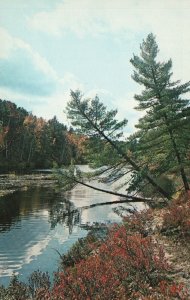 Vintage Postcard Nature's Vacationland Water Adventure Wonderland Michigan AVERY