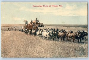 Fresno California CA Postcard Harvesting Grain Horses People Scene 1912 Antique