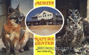 Gray fox and great horned owls Animal Unused 