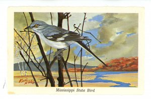 Birds - Mississippi State Bird, Mockingbird