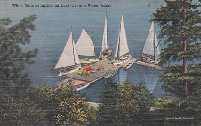 Idaho Coeur d'Alene White Sails At Anchor