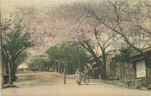 Japan C-1910 Cherry Blossom road undivided Postcard 22-2132