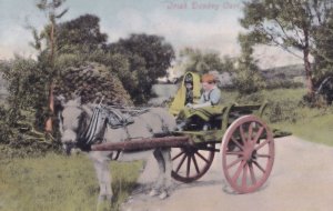 Irish Donkey Cart Antique Ireland Postcard
