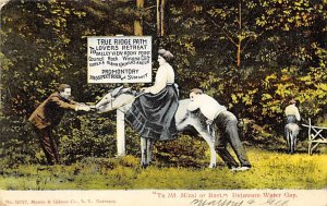 Mt Minsi or Bust Delaware Water Gap, USA Donkey 1907 writing on front