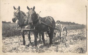 RPPC Farmer, Horses, Delphos, Ohio Allen/Van Wert County 1916 Vintage Photo