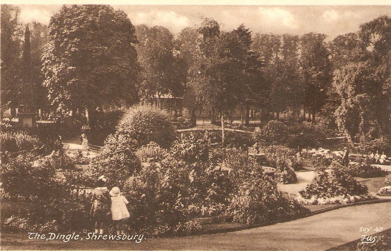 The Dingle Park, Shrewsbury Nice vintage English postcard