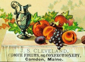 1880's Lovely Fruits 0 J.S. Cleveland Candy & Fruits Camden, Victorian Card F97