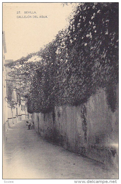 SEVILLA (Andalucia), Spain, 1900-1910s; Callejon Del Agua