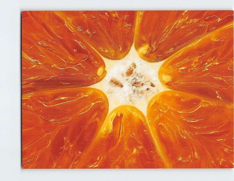 Postcard Orange Close-Up, Zazzle