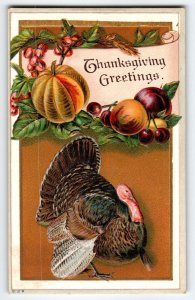 Thanksgiving Greetings Postcard Embossed Turkey Grapes Pumpkin Unused Vintage