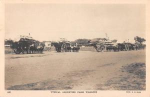 Argentina Farm Wagons Horse Carriage Real Photo Antique Postcard K79720