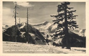 Mountaineering Austria Ski-Paradies Saalbach 1930