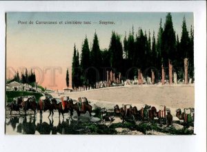 415606 TURKEY SMYRNE Camel Caravan and Graveyard Vintage postcard