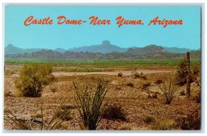 c1960 Castle Dome Miles North Eastle Yuma Highway Desert Deer Arizona Postcard