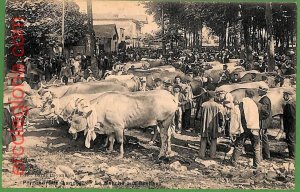 ah2918 - FRANCE - VINTAGE POSTCARD - Peyrehorade - 1912, Etnic CATTLE MARKET-