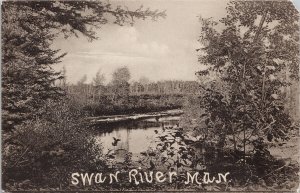 Swan River Manitoba Nature Scene Unused Collotype Postcard H22 *as is