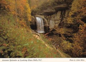 North Carolina Autumn Splendor At Looking Glass Falls 1988