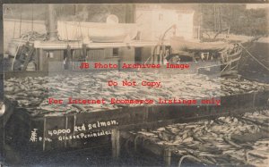 AK, Alaska, RPPC, Steamer Equator Loading 40,000 Salmon, Thwaites Photo