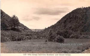 Gorge Between Roxbury - Grand Gorge, New York NY  