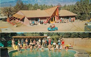 California Desert Hot Springs 1960s Swimming Pool Amescolor Postcard 21-14408