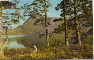 Scotland Postcard - Loch Maree - Highlands - Ross & Cromarty - Ref 9139A