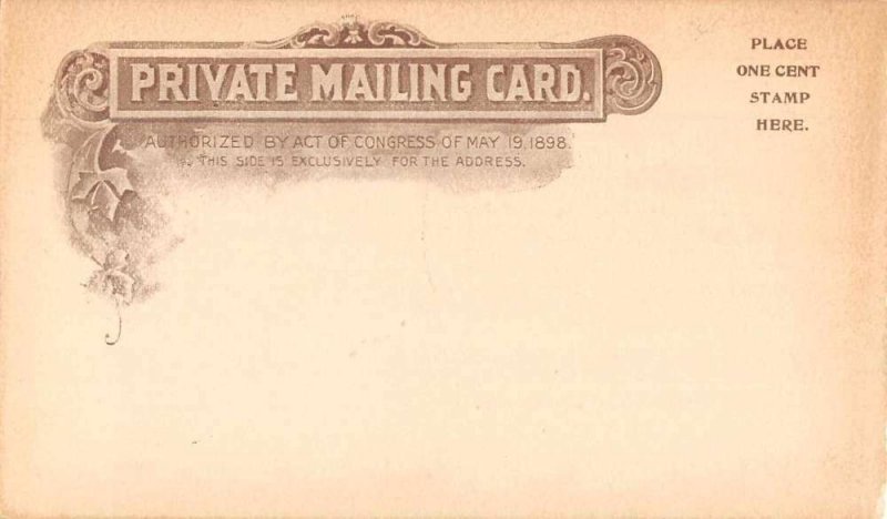 Montpelier Vermont The Pavilion Hotel Private Mail Vintage Postcard JG236687