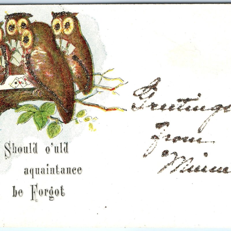 c1910s Minneapolis, MN Greetings Anthropomorphic Owls Poker Mica Glitter A153