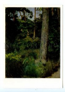 498653 USSR 1988 year painting Boris Ioganson Kraskovo pine forest postcard