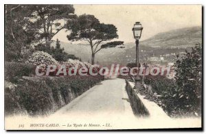 Old Postcard Monte Carlo Monaco The Road