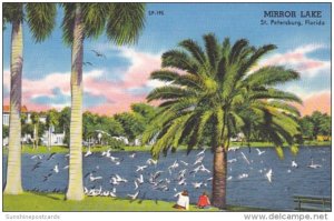 Florida St Petersburg Sea Gulls At Mirror Lake