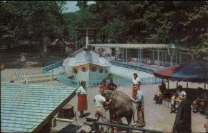 Pittsburgh PA Children's Zoo - Elephant - Postcard