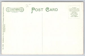 West Springfield Massachusetts~Tree Lined Elm St View~Houses~c1910 Postcard