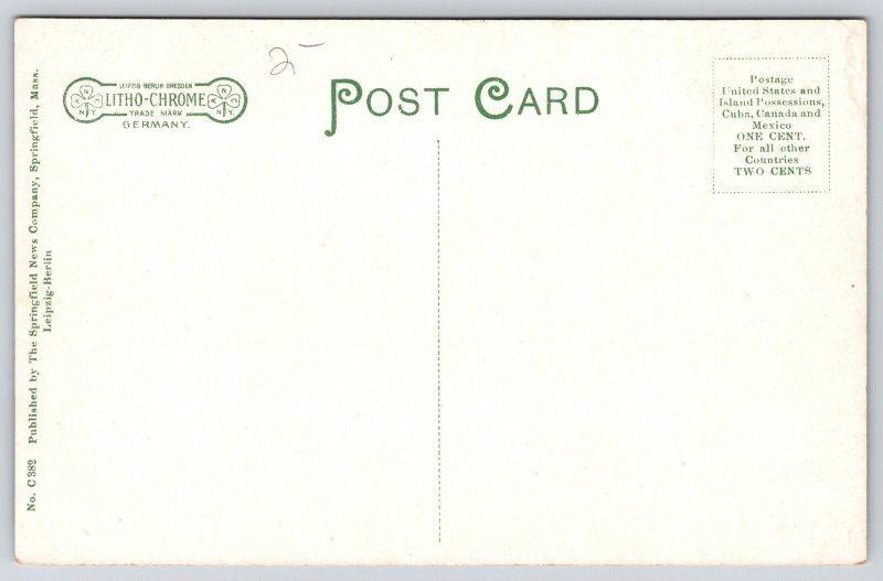 West Springfield Massachusetts~Tree Lined Elm St View~Houses~c1910 Postcard