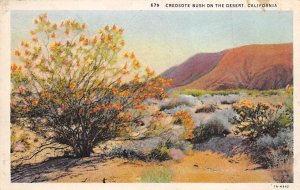 Creosote Bush on the Desert Misc California  