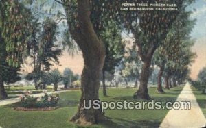 Pepper Trees, Pioneer Park - San Bernardino, CA