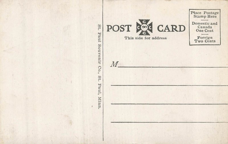 Virginia Minnesota MN~Roosevelt High School~1910s POSTCARD
