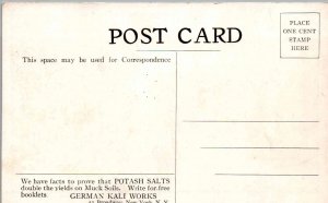 Momence, Illinois - Corn on reclaimed swamp land - farm of Geo.. Wakeman - c1920