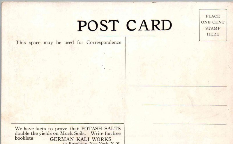 Momence, Illinois - Corn on reclaimed swamp land - farm of Geo.. Wakeman - c1920