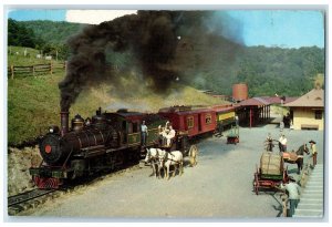 1962 Tweetsie Railroad Near Locomotive Blowing Rock North Carolina NC Postcard