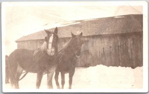 Two Horses In Winter Transporting Goods Horse-Drawn Carrier Postcard