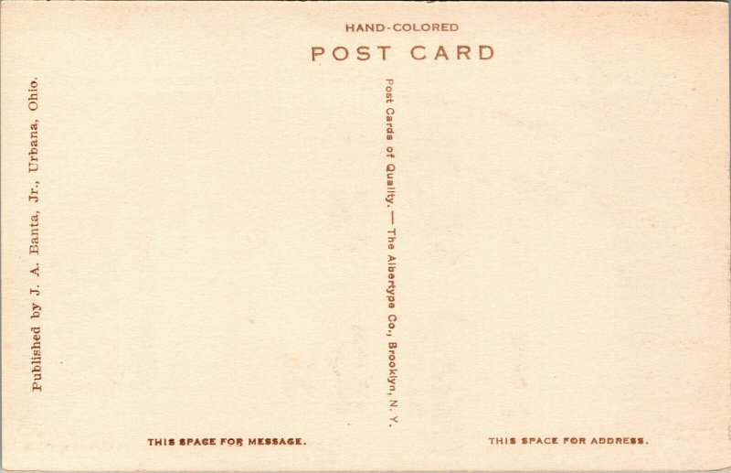 Vtg 1910s Champaign National Bank Urbana Ohio OH Hand-Colored Albertype Postcard