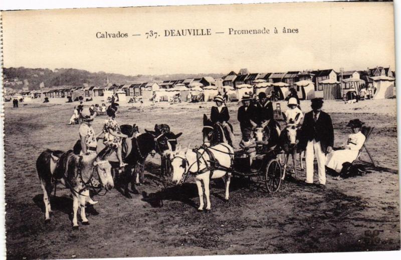 CPA DEAUVILLE - Promenade a anes (272052)