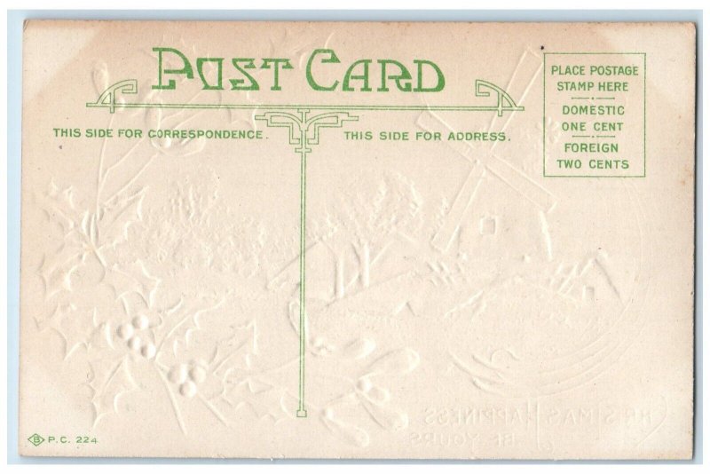 c1910's Christmas Berries Mistletoe Windmill Winter Embossed Antique Postcard