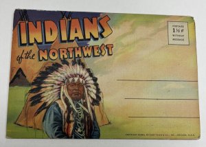 Indians Native Americans of the Northwest Souvenir Postcard Folder 1940