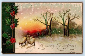 Christmas Postcard Sheep Holly Berries Trees Winter Scene Embossed Providence RI