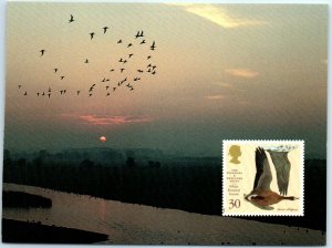 The headquarters of The Wildlife & Wetlands Trust - Slimbridge, England